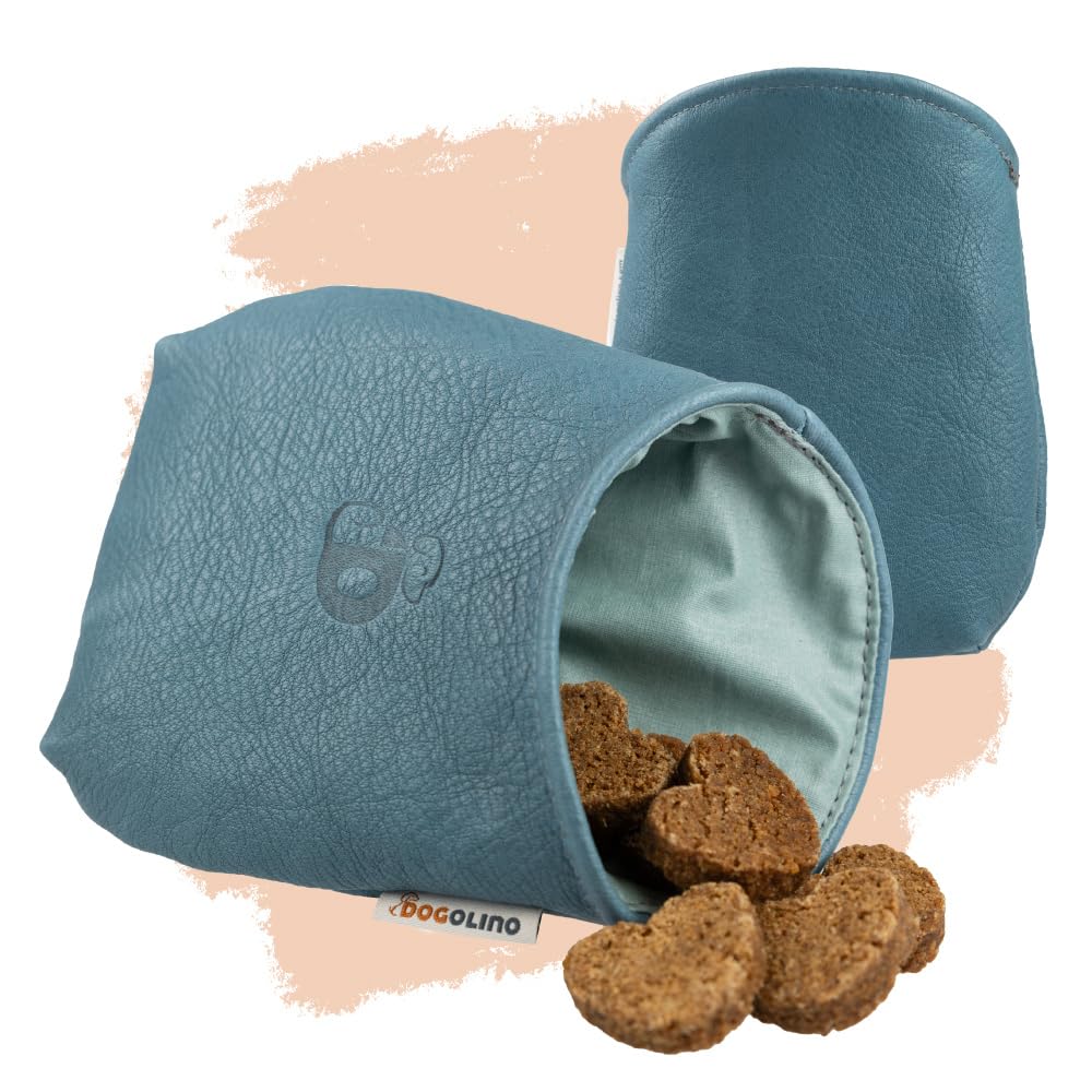 Pantolinos Dogolino® Leather Treat Bag for Dogs - Treat Bag - Treat Bag with Waste Bag Dispenser (Light Blue, Basic)