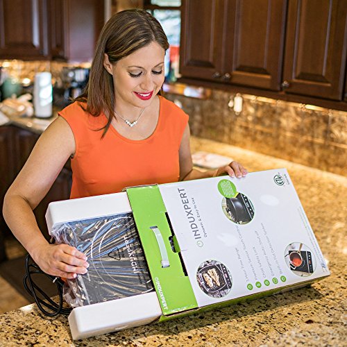 Купить INDUXPERT Portable Induction Cooktop 1800W with Power