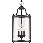 Golden Lighting Payton 3-Light Pendant in Matte Black