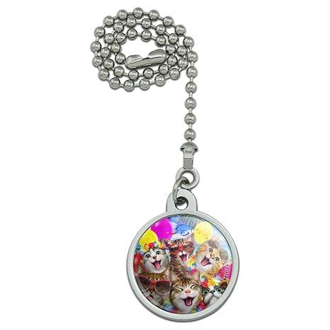 Amazon Com Graphics More Cats Hawaiian Luau Birthday Party