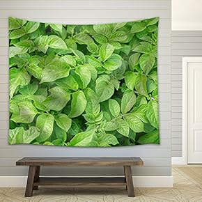 Green Leafs of Potatoes as Background - Fabric Wall Tapestry Home Decor - 51x60 inches