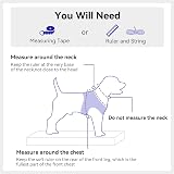 Joytale Step in Dog Harness Navy Blue Small Breeds Breathable Reflective view 7