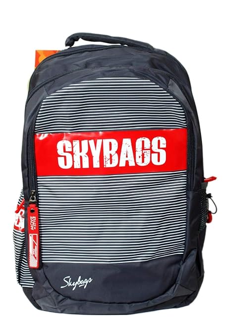 Skybags 30 Ltrs Black Grey Casual Backpack School Bag College Bag Laptop Bag