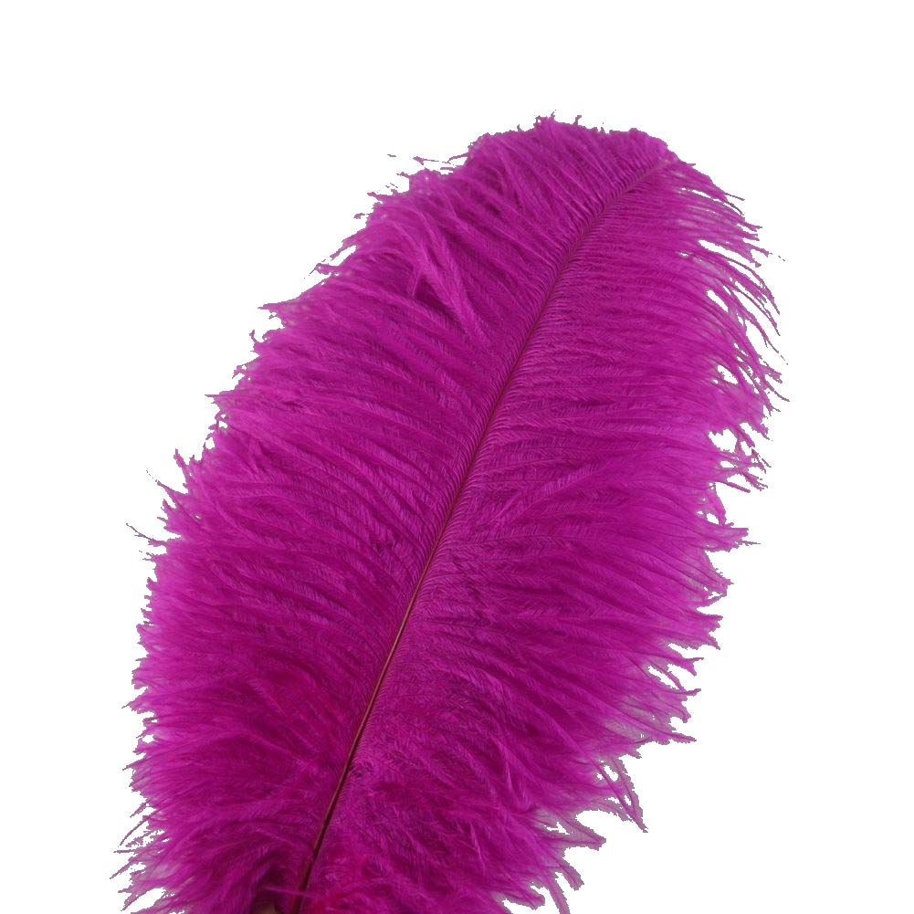 Sowder 10pcs Ostrich Feathers 12-14inch(30-35cm) for Home Wedding Decoration(Fuchsia)