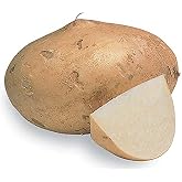 Jicama Root Seeds - 20 Large Seeds. Jicama Plants Produce Several Bulbs Like Potatoes&hellip;
