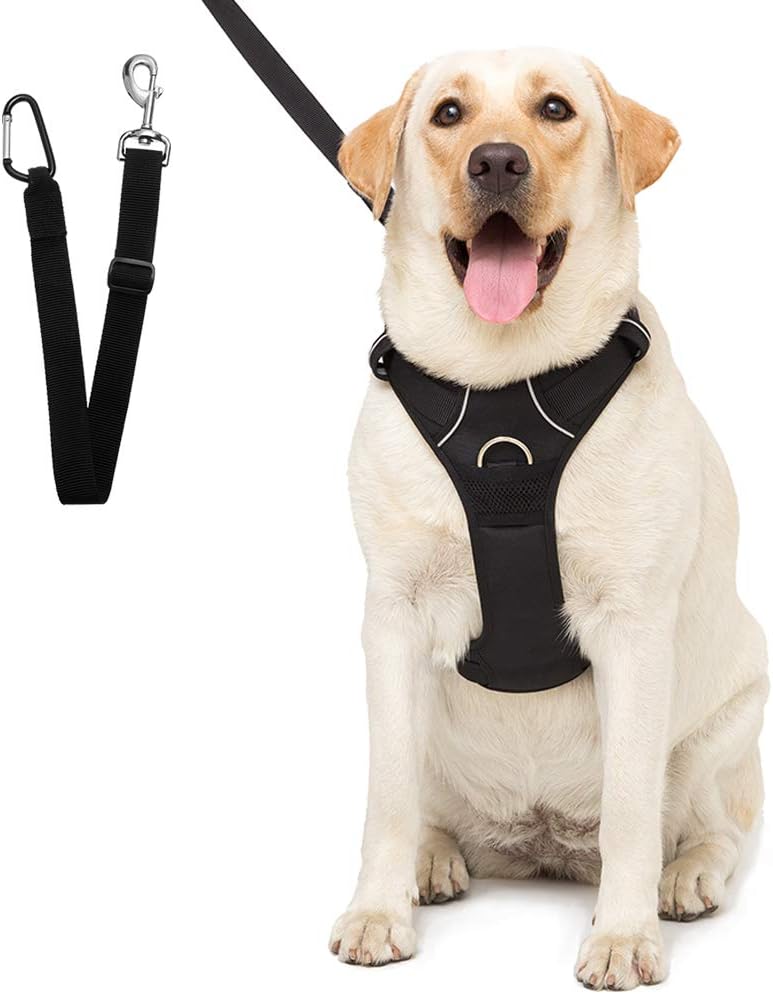 car harness for labrador