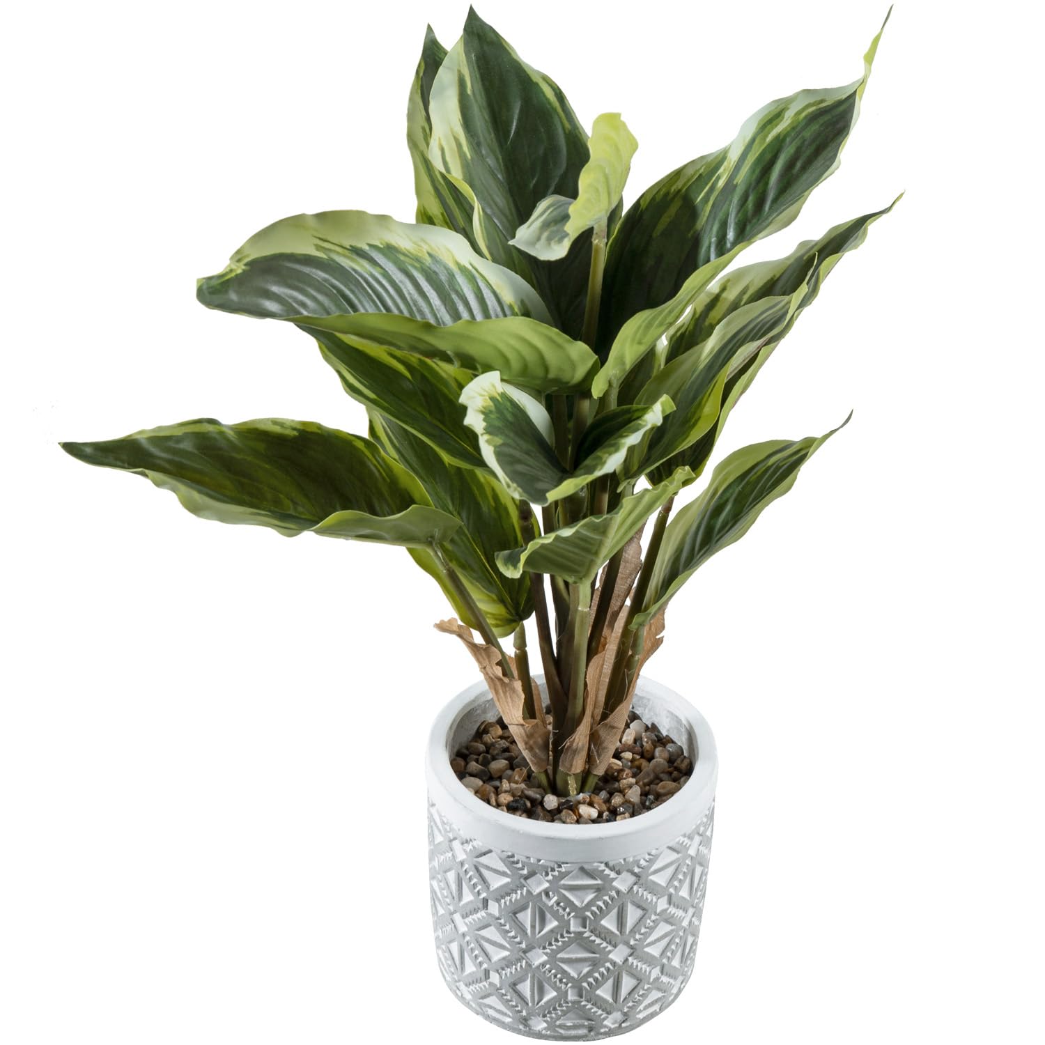 Photo 1 of MyGift Artificial Dieffenbachia Leafy Plant in Modern Gray Concrete Pot with Geometric Embossed Pattern, Faux Indoor Home Decor Greenery Decorative Round Planter
