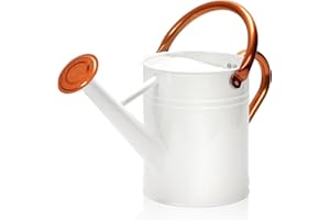Ausluru Metal Watering Can with Removable Spout, Galvanized Watering Can, Perfect for Indoor Use and for Outdoor Use (1 Gallaon, White)