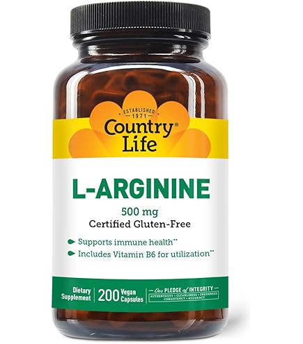 Amazon.com: Country Life L-Carnitine 500mg 60 Vegan Capsules | Supports Energy Production & Fat Metabolism | Includes Vitamin B6 for Utilization | Gluten-Free, Certified Vegan Amino Acid Supplement : Health & Household Amazon.com: Country Life L-Carnitine 500mg 60 Vegan Capsules | Supports Energy Production & Fat Metabolism | Includes Vitamin B6 for Utilization | Gluten-Free, Certified Vegan Amino Acid Supplement : Health & Household