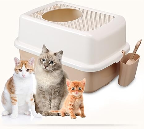 Gato caja de arena | Los mejores ejemplares de cajas.