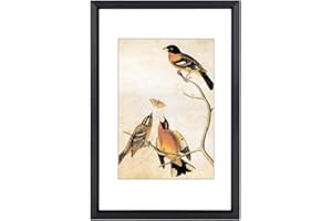 BKABOT 3.5x5 Picture Frame, Black Metal Photo Frames with HD Glass, Fits 2.5x3.5 with Mat or 3.5x5 without Mat, Display for Wall and Table, 1 Pack