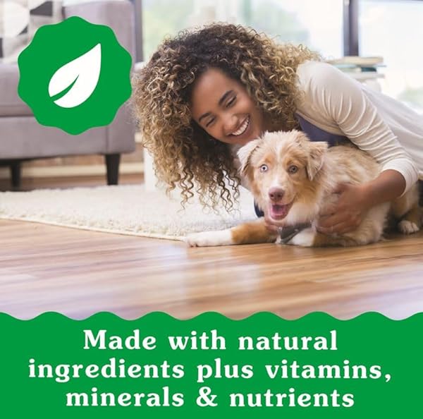 GREENIES VETERINARIAN-RECOMMENDED NATURAL DENTAL PUPPY TREATS PETITE SIZE, DENTAL TREATS FOR DOGS, 6 OZ. PACK, 10 COUNT