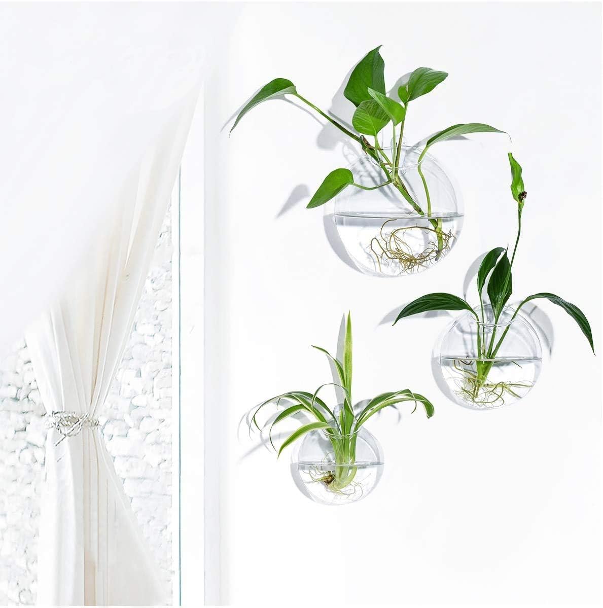 Set of 3 Wall Hanging Terrariums Indoor Plants Holders Wall Glass Vase for Flowers Wall Mounted Planters for Succulents Air Plants Wall Decoration for Sunroom Living Room: Garden & Outdoor