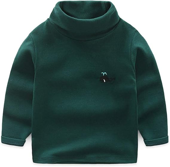 Little Boys Turtleneck Sweater Toddler Shirt Top TShirt