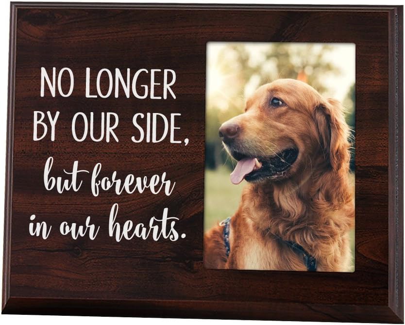 Elegant Signs Pet Frame Memorial No Longer by Our Side but Forever in Our Hearts