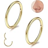 BLZ 20G 8mm Nose Rings Hoops for Women Men 2PCS Septum Jewelry 316L Surgical Steel Hinged Segment Ring Body Piercing Nose Hoop Lip Rings Nose Helix Cartilage Rook Earrings