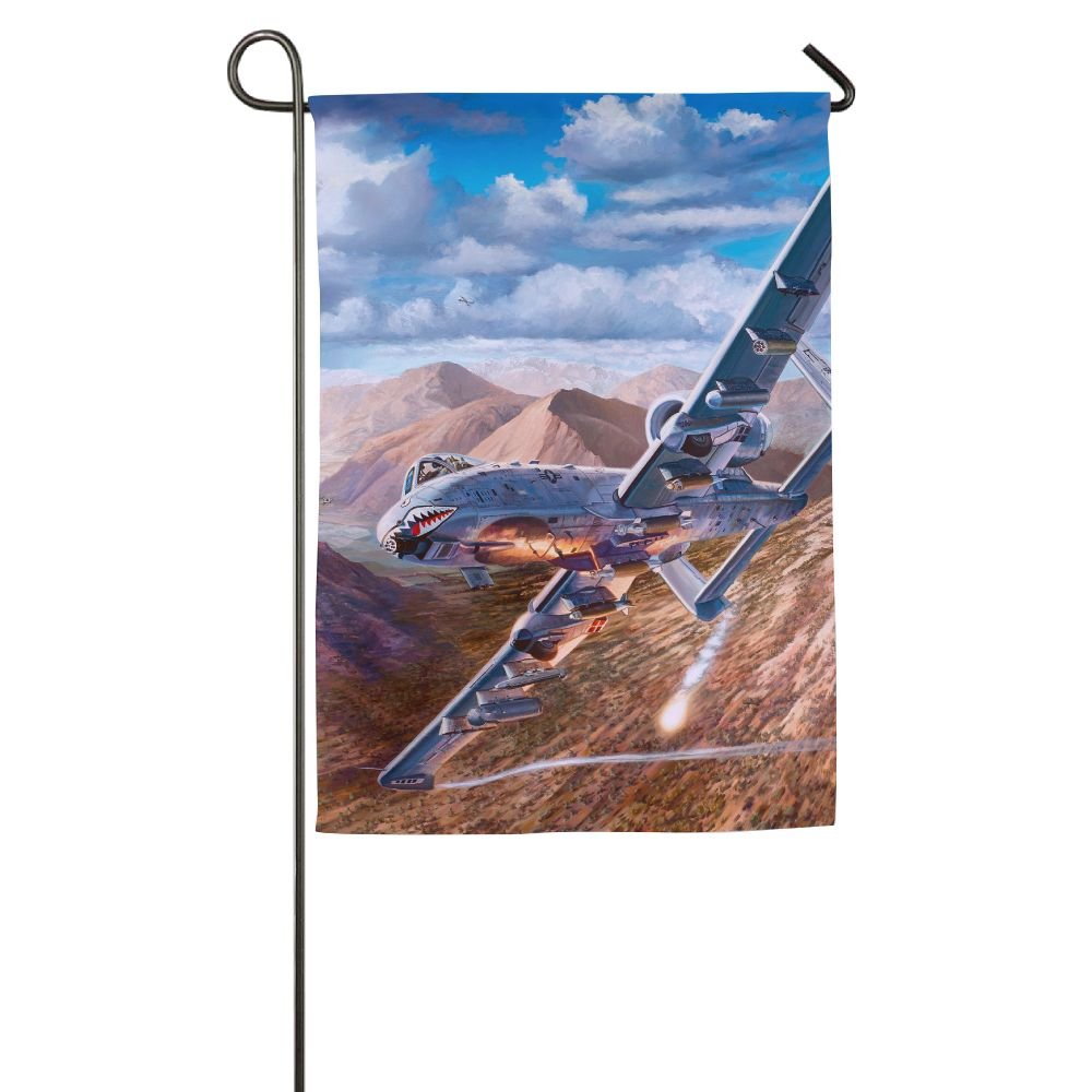 Amazon Com Ttiwep Airplane Painting Art Attack Aircraft Garden