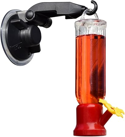 Amazon Com Gray Bunny Gb 6868 Mini Hummingbird Feeder And Window
