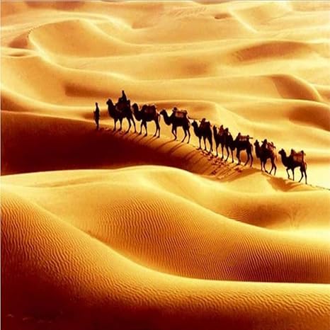 Amazon Mingld カスタム3d写真壁画壁紙ウォーキング砂漠のラクダの壁紙高品質の家の装飾リビングルームテレビソファ背景 150x1cm 壁紙