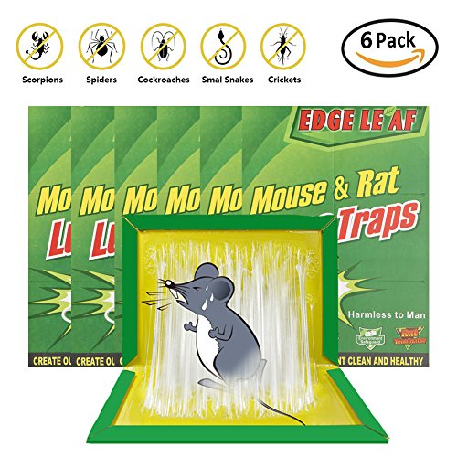 Mouse glue trap sticky boards peanut butter scented mice rat trap…