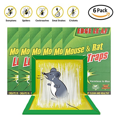 Mouse Glue Trap Sticky Boards Peanut Butter Scented Mice rat Traps with Professional Strength Glue Kid Pet Safe Easy to Use Best Eco-Friendly Traps Rodents Cockroaches Bugs Ants Spiders(6 Pack)