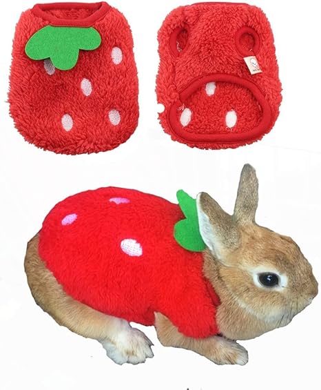 Aniac Haustierkostum Susses Kaninchen Kleidung Weiches Haschen Weste Gemutliches T Shirt Fur Katzchen Frettchen Chihuahua Welpen Und Kleine Tiere Brustumfang 21 8 Cm Amazon De Kuche Haushalt