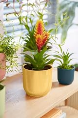 elho Vibes Fold Round 16 Flower Pot 100% Recycled Plastic Yellow Ø16.1 x H14.8 view 9