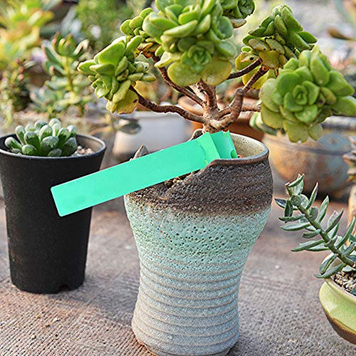 Colovis 200 PCS Plant Tree Tags Labels, Adjustable Waterproof Plant Tags, Wrap Around Hanging Plant Markers with Pen for Garden Plants Trees Greenhouse Supplies (21 X 2 cm)