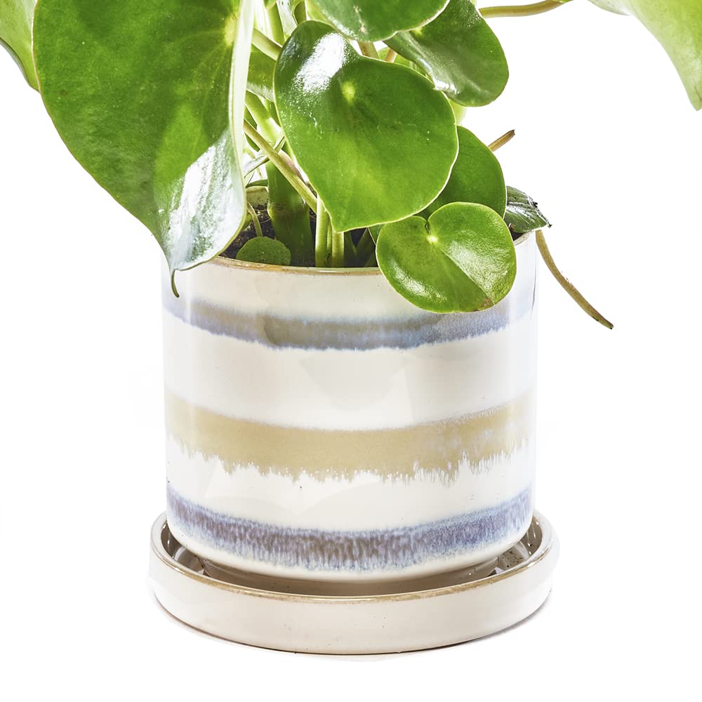 CHIVE Minute Ceramic Planter Pot  Cute 5 Colorful Succulent Pots for Indoor & Outdoor House Plants  Beautiful Modern Farmhouse Kitchen Decor  Blue Green Layers