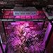 ACKE 300 LED Grow Light Full Spectrum Plant Light for Indoor Plants Green House Hydroponics Herb Veg Seedlings and Flower