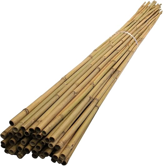 Extra Long 3m and 3.6m Bamboo Canes (10ft / 12ft) Garden Plant Support Stakes (3m (2426mm) 20