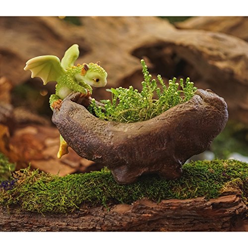 Top-Collection-Rex-The-Green-Dragon-Mini-Collectible-Fantasy-Figurine-Planter-Perched-on-Planter