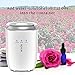 Cool Mist Humidifier - 4L Ultrasonic Humidifiers for Home Bedroom, with Filter, Adjustable Mist Levels, Waterless Auto Shut-Off, Whisper-Quiet Operation (US 110V) (L)