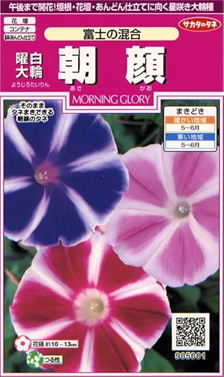 Amazon サカタのタネ 実咲花5001 曜白大輪朝顔 富士の混合 花