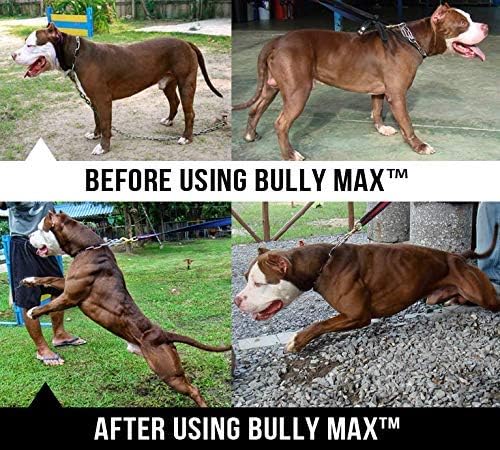 bully max supplements for puppies