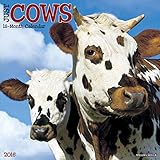 2016 Just Cows Wall Calendar by