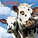 2016 Just Cows Wall Calendar by