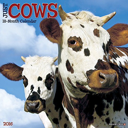 2016 Just Cows Wall Calendar by Willow Creek Press