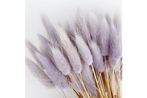 50 PCS Natural Dried Pampas Grass Decor,Fall Decorations for Home Decor Lagurus Ovatus Dried Grass Bouquet Bunny Tails Grass 