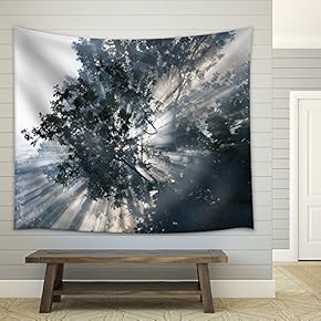 Fog - Fabric Wall Tapestry Home Decor - 51x60 inches