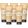 Generic Hydrating Mineral Sunscreen SPF50+ PA+++ Oil Free Suncream for Face, Tinted Mineral Sunscreen for Oily Skin, Waterproof & Long-Lasting Sunblock (5pc)