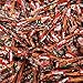 Twizzlers Halloween Edition, Orange & Black Cherry -Pull 'n Peel- Individually Wrapped Candy (Pack of 4 Pounds) 148 Pieces