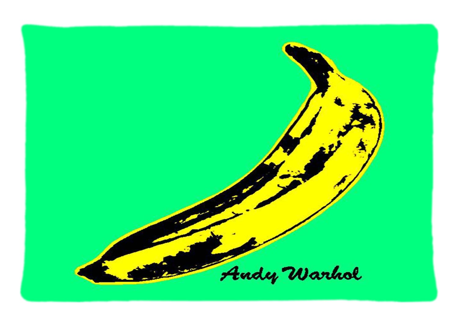 andy warhol Custom Pillowcase Rectangle Pillow Cases 20x30 Inches (one side) by Coco Pillowcase