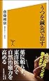 うつを鍼灸で治す (SB新書)