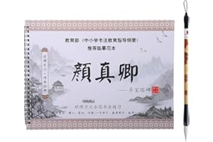 Wancetang Regular Script copybook of Yan Zhenqing Reusable Chinese Water Writing Magic Cloth Paper Practice Calligraphy Character Book for Beginner