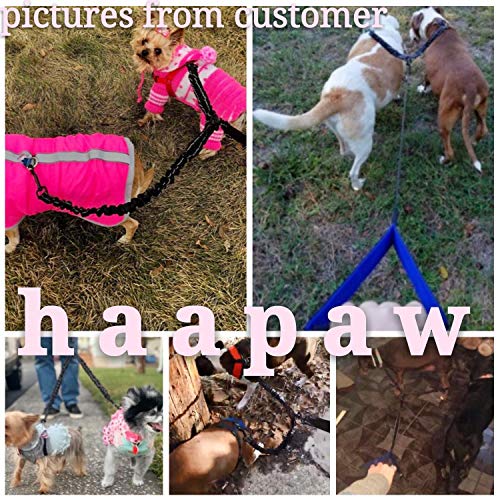 haapaw Two Dog Leash Coupler - 2 Dog Leash Tangle Free, Stretchable from 20 to 35 Inch - Comfortable Handle Dual Dog Leash for 2 Dogs with a Free Collapsible Dog Bowl (Black/red)