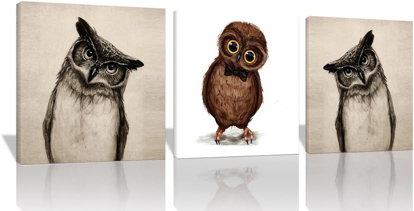 Spirit Up Art - 3Pcs/Sets 16x16inches Modern Giclee Prints Artwork Lovely Owls Animals Pictures Photo Paintings on Canvas Wall Art for Home Walls Decor Decorations, Stretched and Framed, Ready to Hang