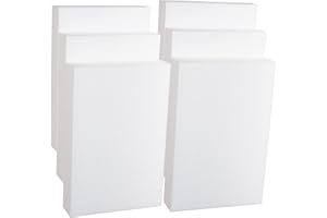 SILVERLAKELLC Silverlake 8x12x2 Craft Foam for Styrofoam Block Projects (6-Pack)