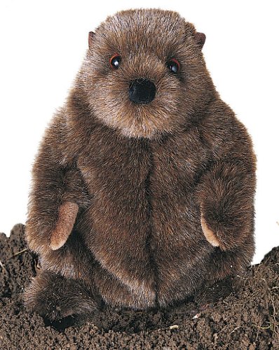 Plush Chuckwood Groundhog 11"