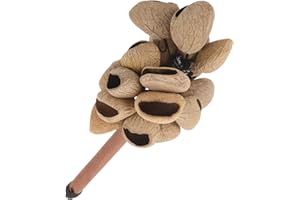 WHAMVOX Traditional African Kashaka Shaker with Wooden Handle Hand Percussion Instrument for Multicultural
